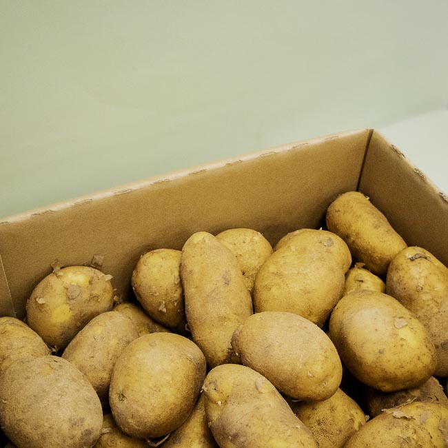 Patata Agria Especial para Freír Caja 10Kg