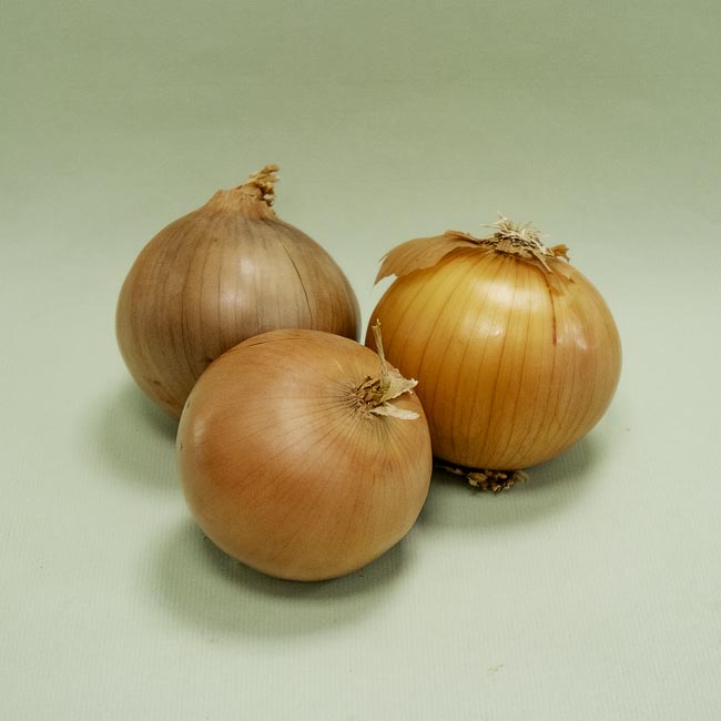 Cebolla Seca Granel