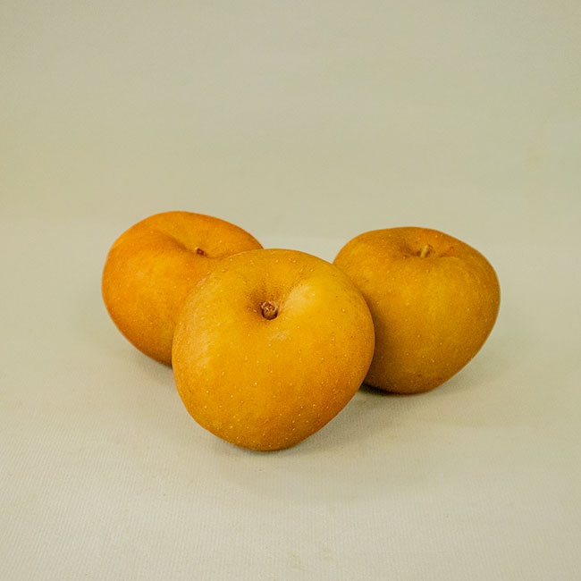 Manzana Reineta