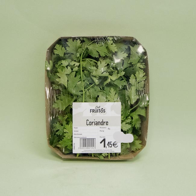 Cilantro (40g)