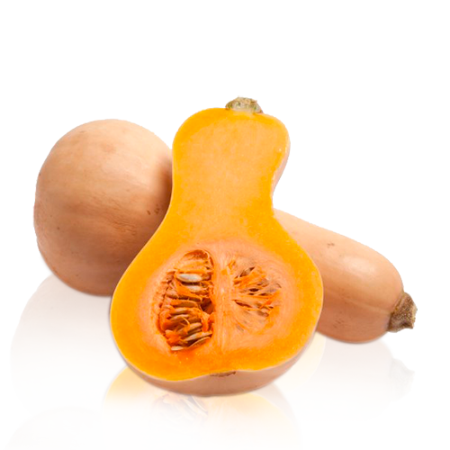 Calabaza Bio