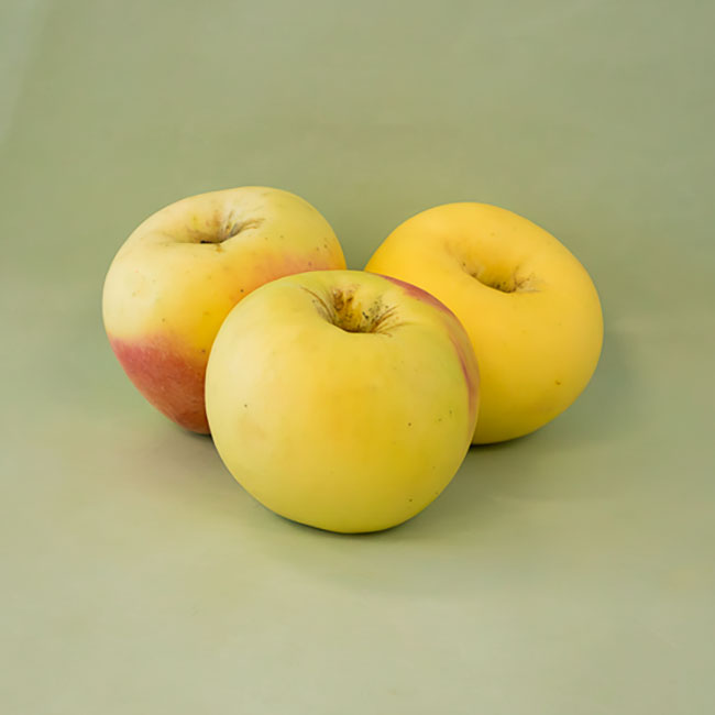 Manzana Verde Doncella