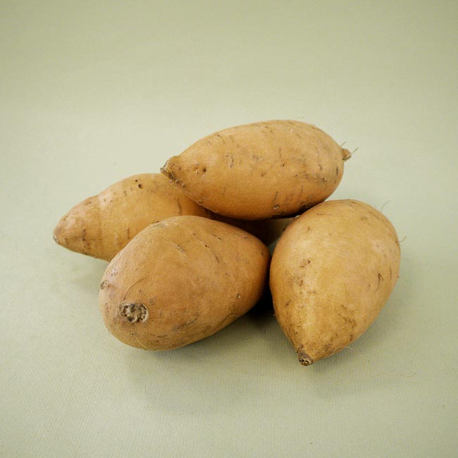Boniato