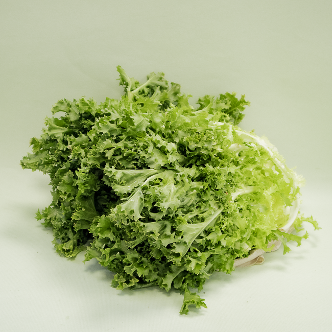 Escarola