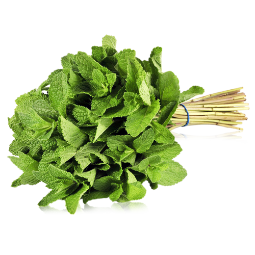 Menta Manojo