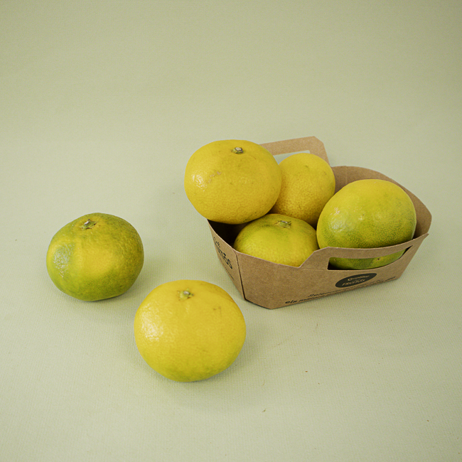 Clausellina Extra Cal 