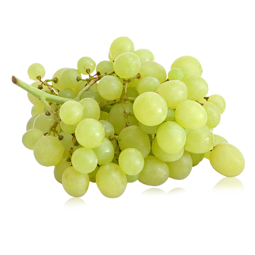 Uva Blanca