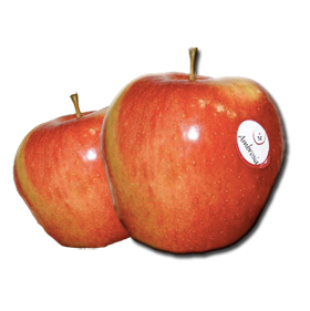 Manzana Ambrosia