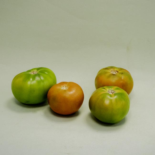 Tomate Verde Extra