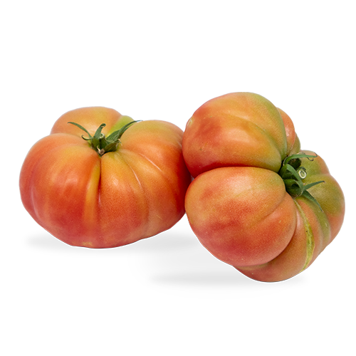 Tomate Barbastro