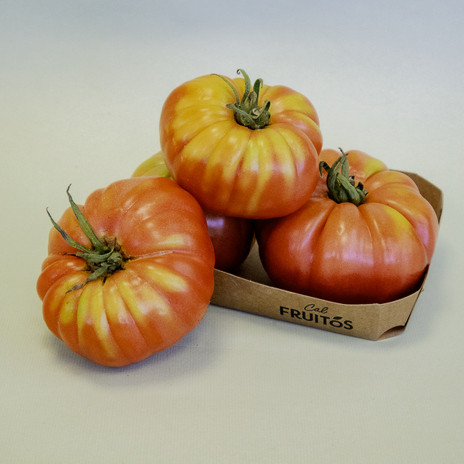 Tomate Barbastro