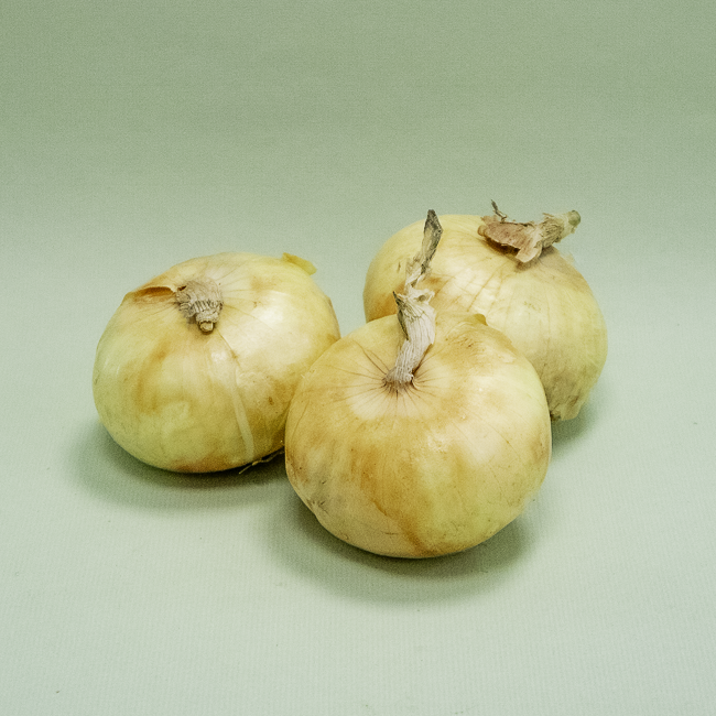 Cebolla seca Bio