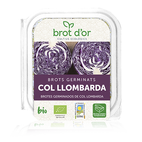 Germinado Bio de Col Lombarda (70 g)