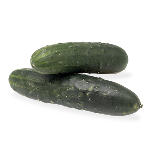 Pepino Bio