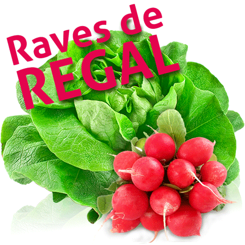 2.Lechuga Trocadero Regalo Rábanos