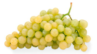 Uva de la Suerte