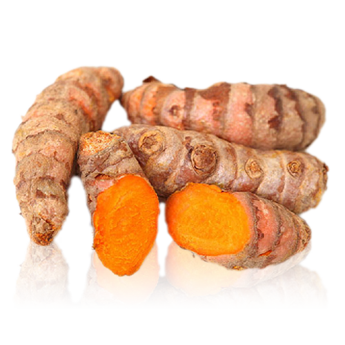 Curcuma Fresca