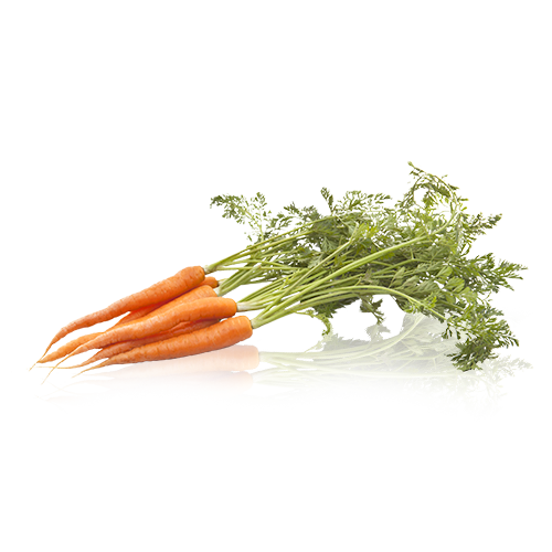 Zanahoria Manojo Bio