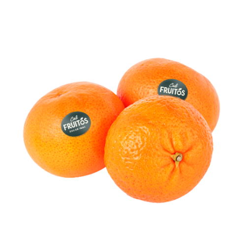 Clementina Orri Cal Fruitós