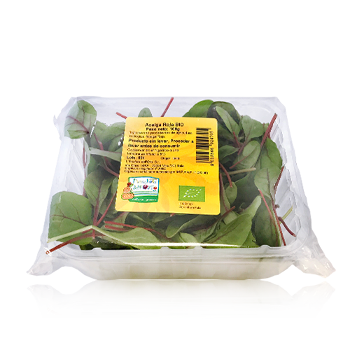 Acelgas Rojas Bandeja Bio (100g) Bio