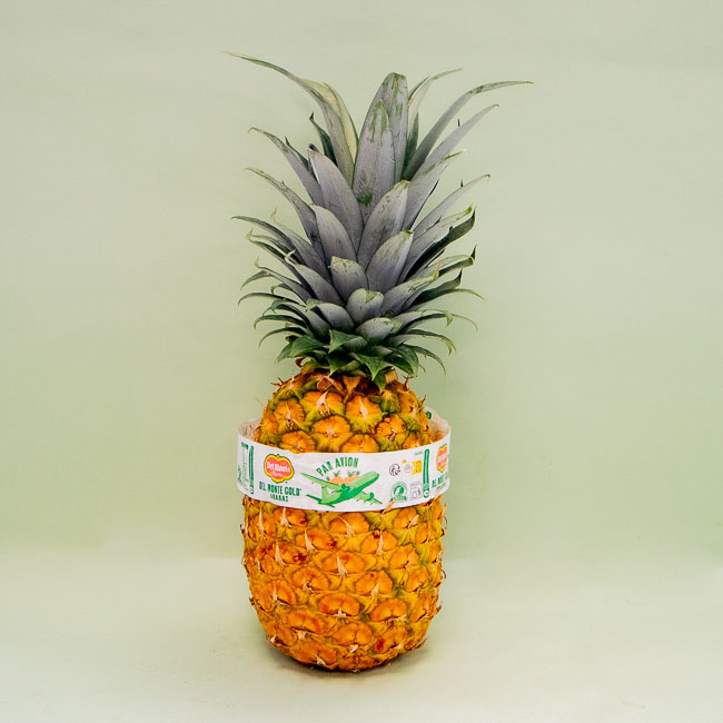 Piña Avión Del Monte