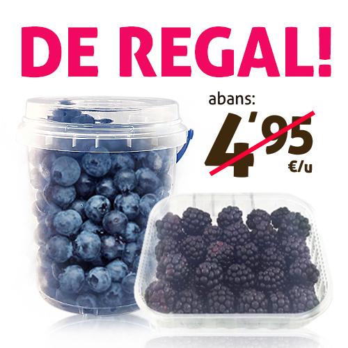 Arándanos cubo 500 g + Moras Bandeja 125 g de REGALO