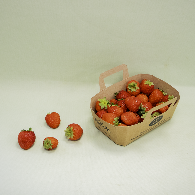 Fresón Bandeja 500g