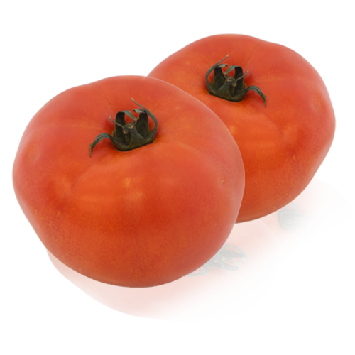 Tomate Gazpachero