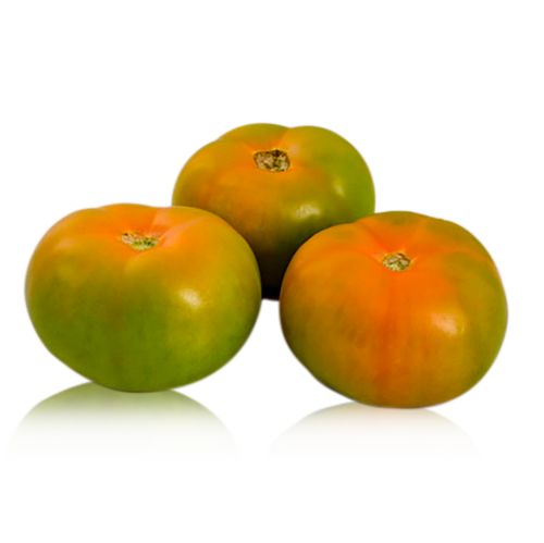 Tomate Verde Bio