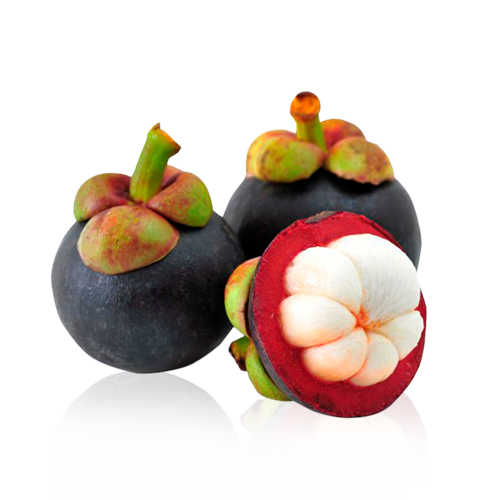 Mangostan