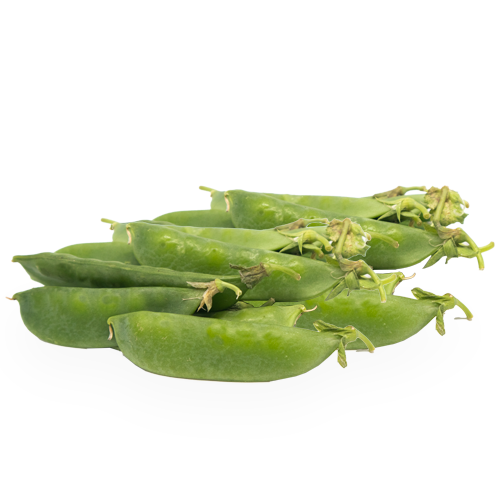 Guisantes Tirabec