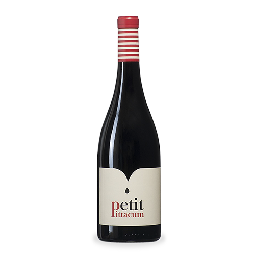 Vi Petit Pittacum Tinto 2019 (D.O. Bierzo)