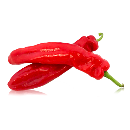 Pimiento Rojo Ramiro Bio