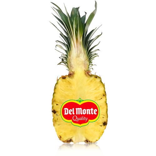 Piña avión del monte (media unidad) | Fruta y verdura Cal Fruitós