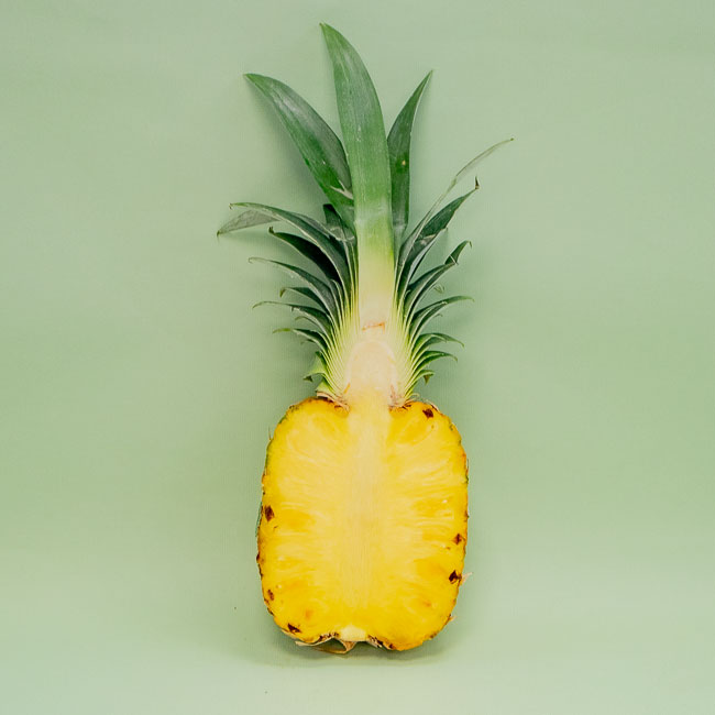 Piña Avión Del Monte (media unidad)