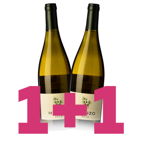 1+1 de Regalo Vino Macizo Blanco 2016