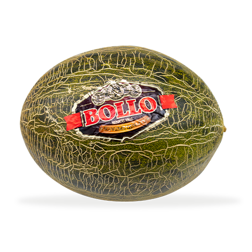 Melón Bollo 