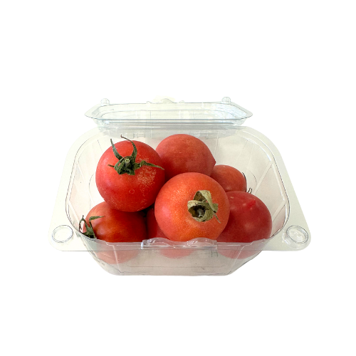 Tomate de Colgar Bandeja Promoción