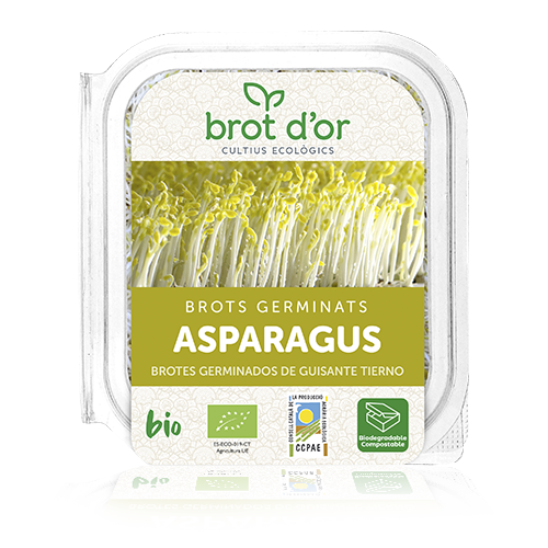 Germinado de Asparagus BIO (50 g)