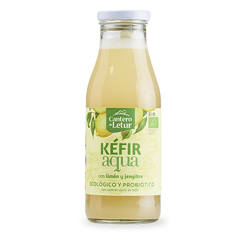 Kéfir Up Limón y Jengibre Bio 500ml Cantero de Letur