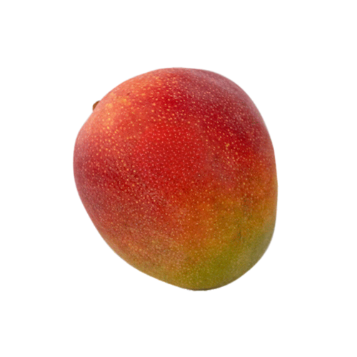Mango Unidad Promoción