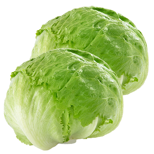 Pack 2u. Lechuga Iceberg