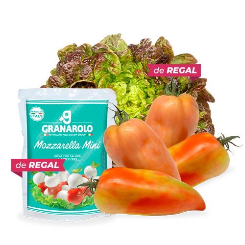 Pack 1 kg de Tomate Pebroter + de Regalo Mozzarella+ Lechuga Hoja de Roble