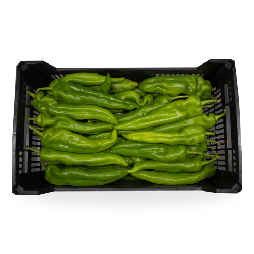 Caja Pimiento Verde 6,5kg