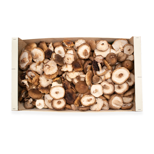 Caja Shitake 2,5kg