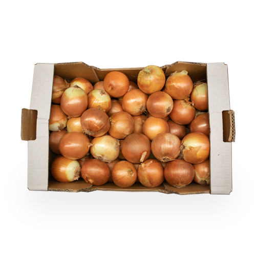 Caja Cebolla Seca 12kg