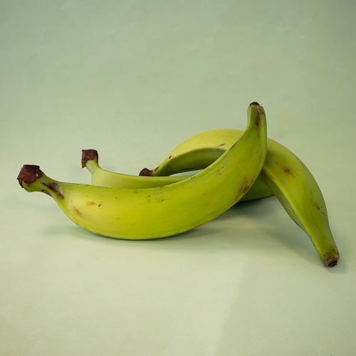 Plátano Macho