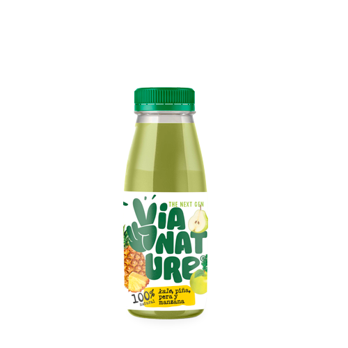 Zumo Vegetales y Frutas Detox 250ml Via Nature