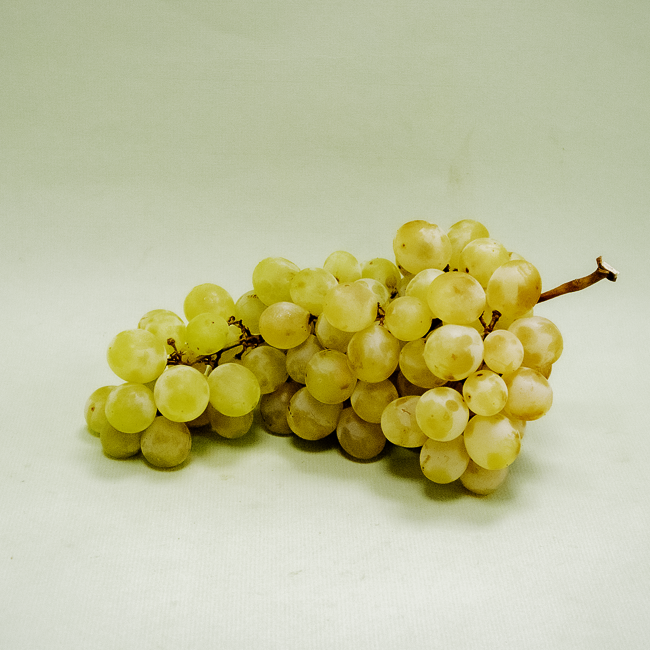 Uva Moscatell