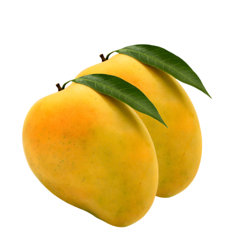 Pack 2u. Mango Gold Unidad